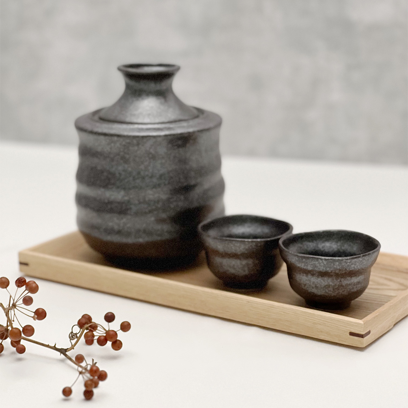 溫酒&冷酒兩用清酒器組(2合) - 東京食器